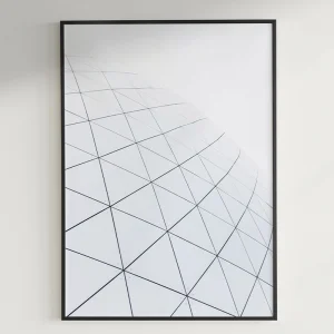 GEODESIC