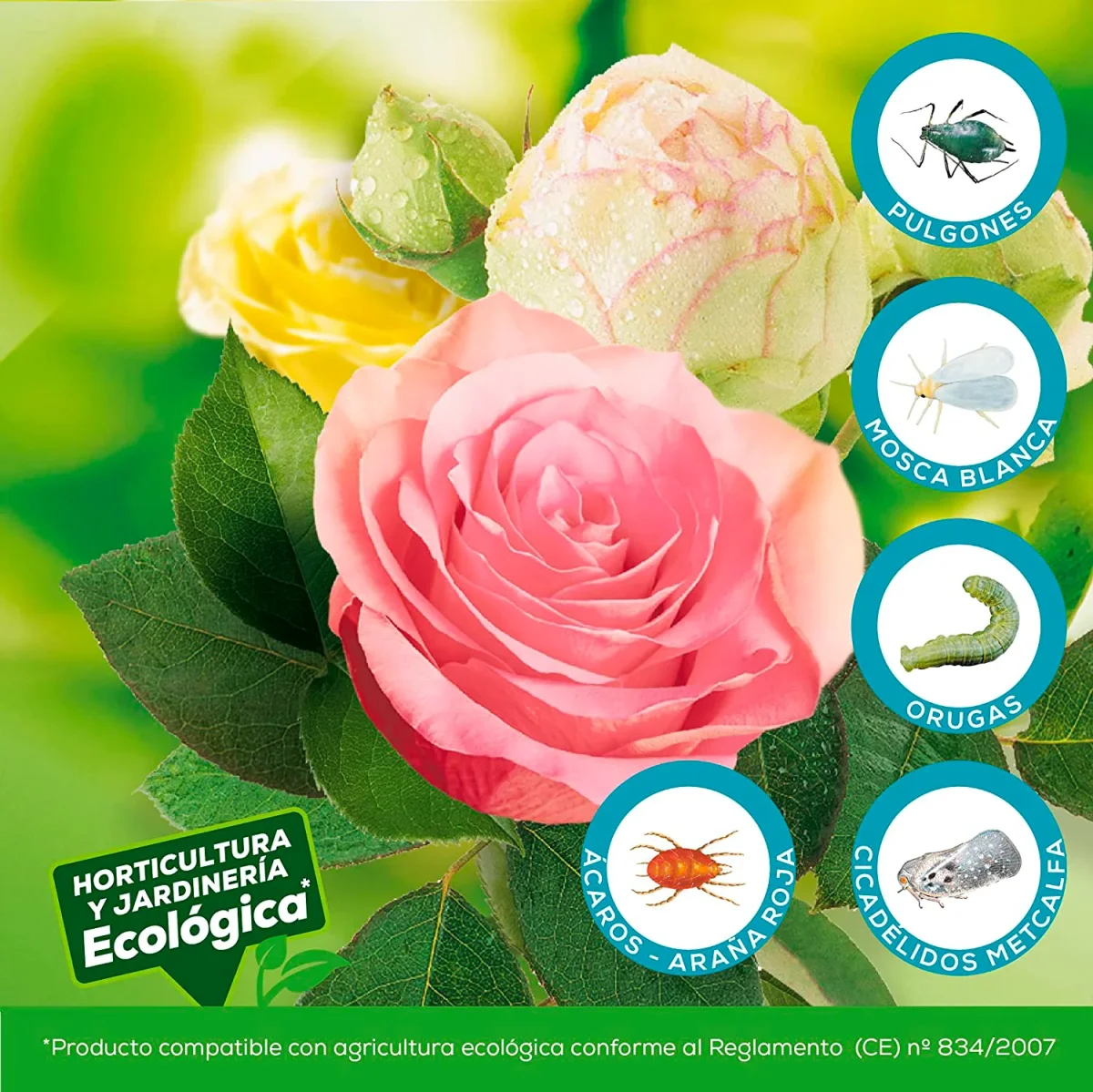 🌿 Solabiol Insecticida Acaricida Natural Ecológico 250 ml - Imagen 4