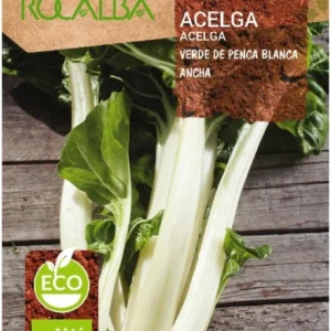 ACELGA VERDE PENCA ANCHA ECO
