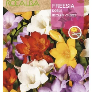 BULBO FREESIA DOBLE MEZCLA DE COLORES- 10 UD
