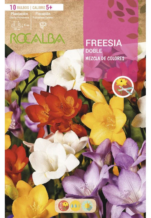 BULBO FREESIA DOBLE MEZCLA DE COLORES- 10 UD - Imagen 2