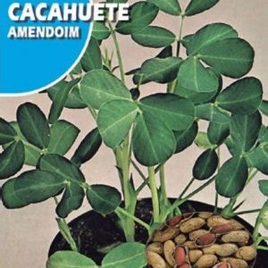 CACAHUETE 500 GR. - SEMILLAS ROCALBA