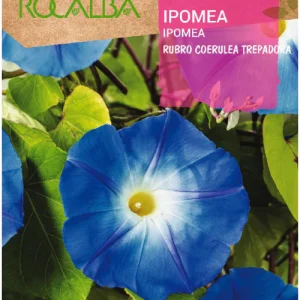 IPOMEA RUBRO COERULEA TREPADORA AZUL - SOBRE DE SEMILLAS 10G