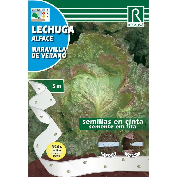 LECHUGA MARAVILLA DE VERANO - Imagen 2